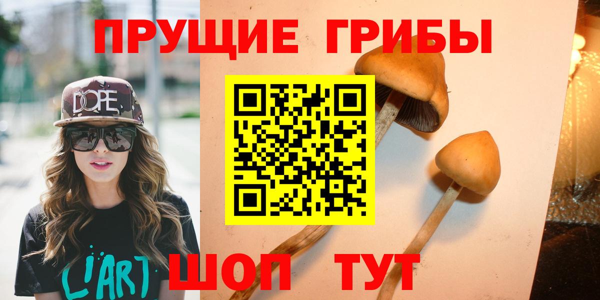 Псилоцибиновые грибы мухоморы  где купить   Вход с VPN  Саратов  Псилоцибиновые грибы Psilocybine cubensis 